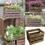 APPLE CRATES